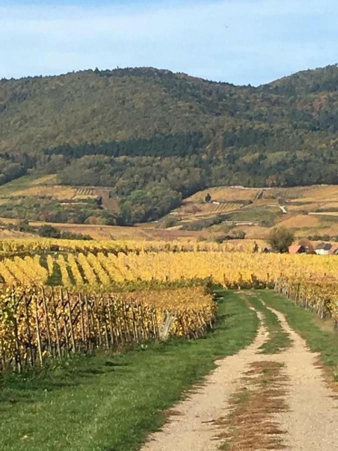 Fleur De Vigne Apartment Eguisheim Bagian luar foto